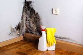 Best Residential Mold Inspection & Testing  in Basile, LA